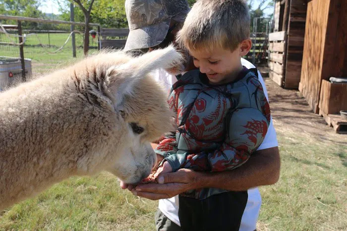 Wagon Master RV Park & Alpaca Farm 7