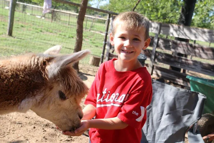 Wagon Master RV Park & Alpaca Farm 5