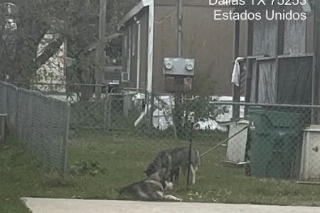 La Comunidad