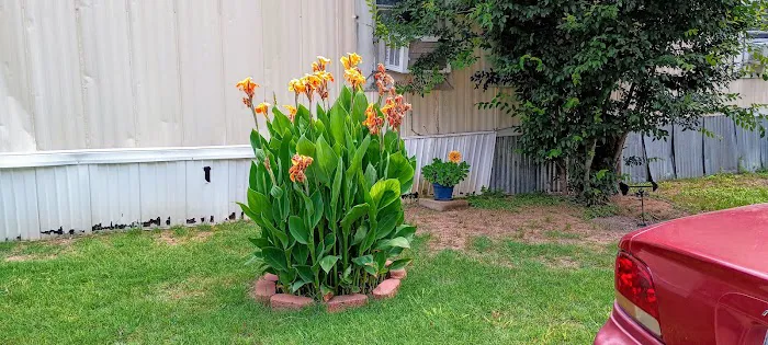 Texas Shade Mobile home Park 2