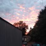 Regency Mobile Home & RV Park