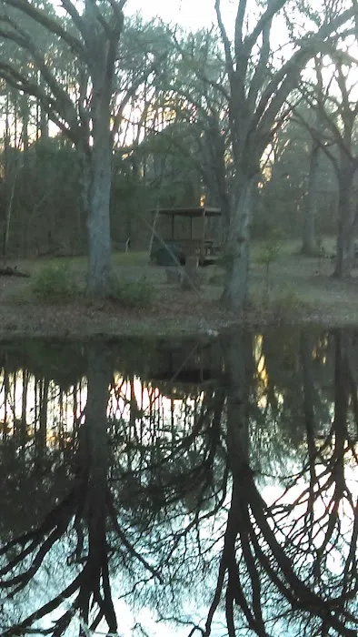 Land of Ease Senior Tiny Home Community 7