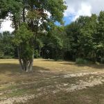 Land of Ease Senior Tiny Home Community