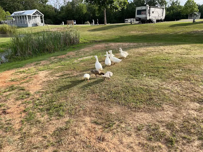 Texan RV Park 2