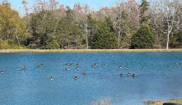 Texan RV Park 6