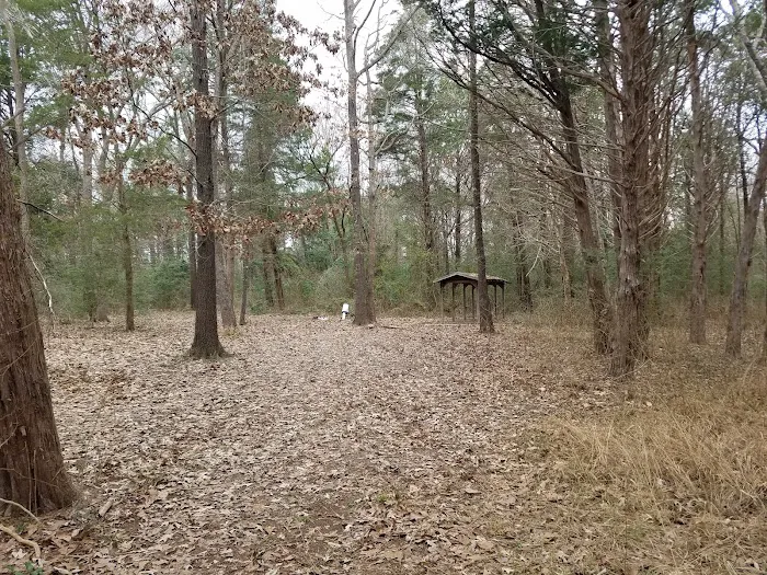BSA Camp Meisenbach 1