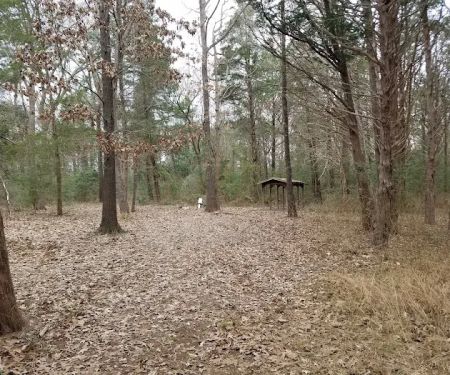 BSA Camp Meisenbach