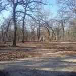 Black Bear Camp Site