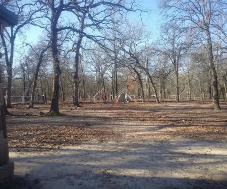 Black Bear Camp Site