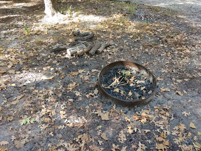 Black Bear Camp Site 3