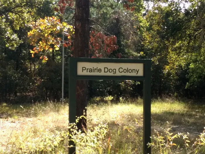 Prairie Dog Colony Camp Site 2