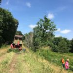 Prairie Dog Colony Camp Site