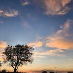 Town and Country RV Park and Mini Storage