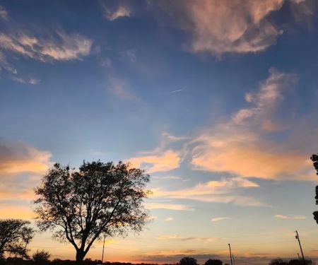 Town and Country RV Park and Mini Storage