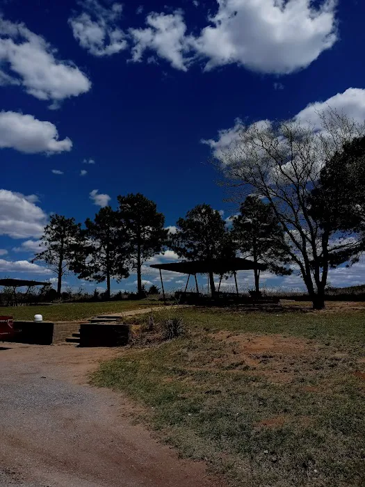 Skipout Campground 4