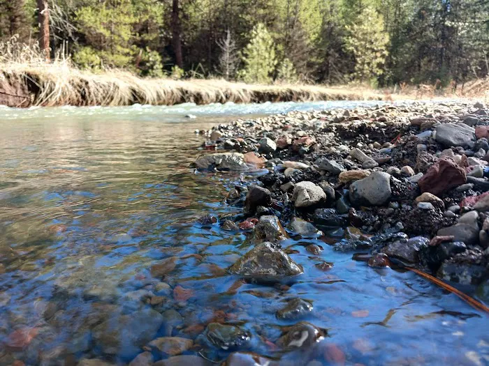 Spring Creek Dispersed Campsites 2