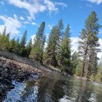 Spring Creek Dispersed Campsites