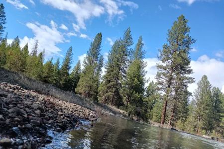 Spring Creek Dispersed Campsites