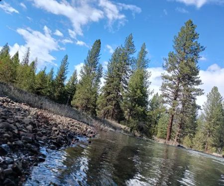 Spring Creek Dispersed Campsites