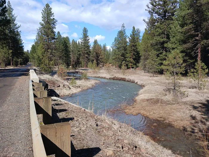 Spring Creek Dispersed Campsites 3
