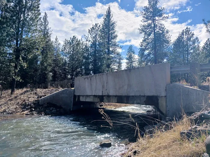 Spring Creek Dispersed Campsites 5
