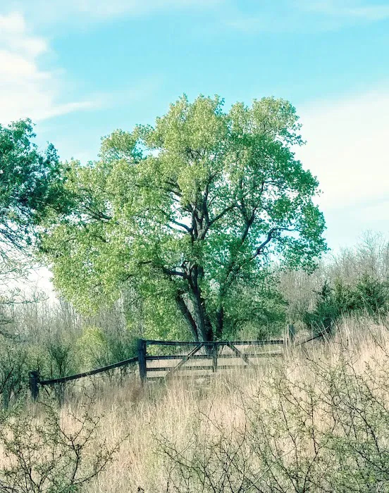 Spring Creek Lake Campground 9