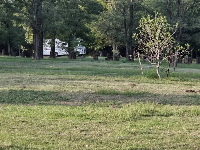 Spring Creek Lake Campground 8