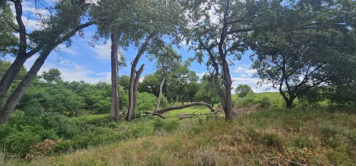 Spring Creek Lake Campground 10