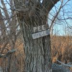 Yankee Run Point Campground