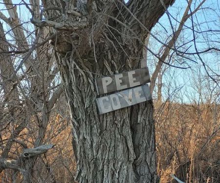 Yankee Run Point Campground