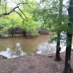 Loggy bayou camp ground