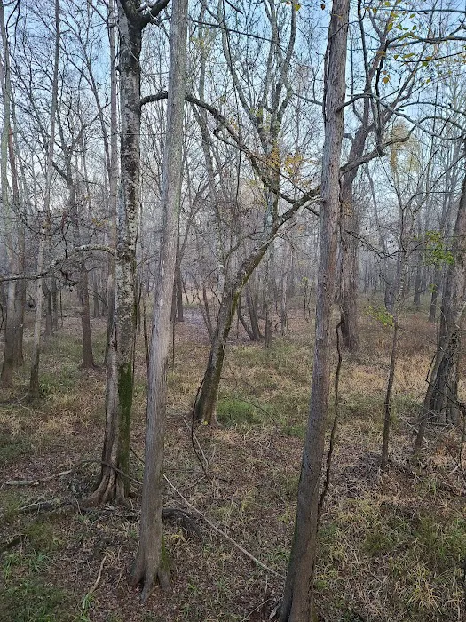 Loggy bayou camp ground 5