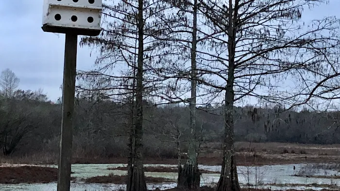 Zwolle Rv Park 9