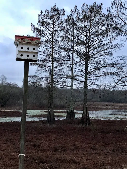 Zwolle Rv Park 5