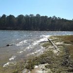 Beans VIP Campground