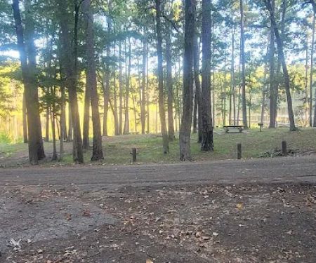 Red Hill Lake Campground - Sabine National Forest