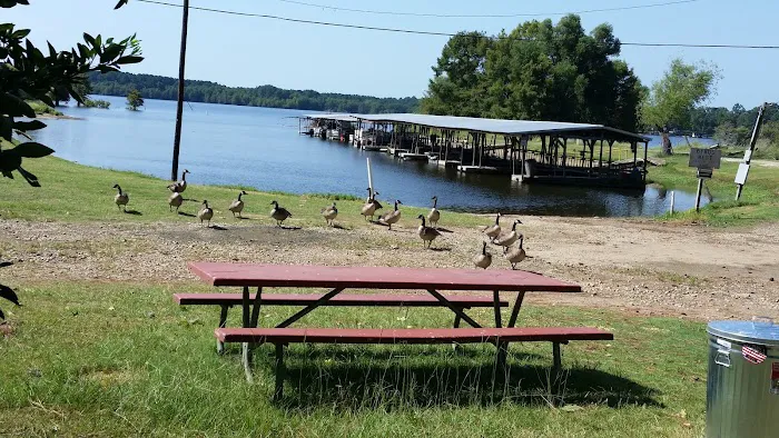The Byrd's Nest RV Park & Cabins 5