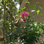 Westwood Mobile Home Community
