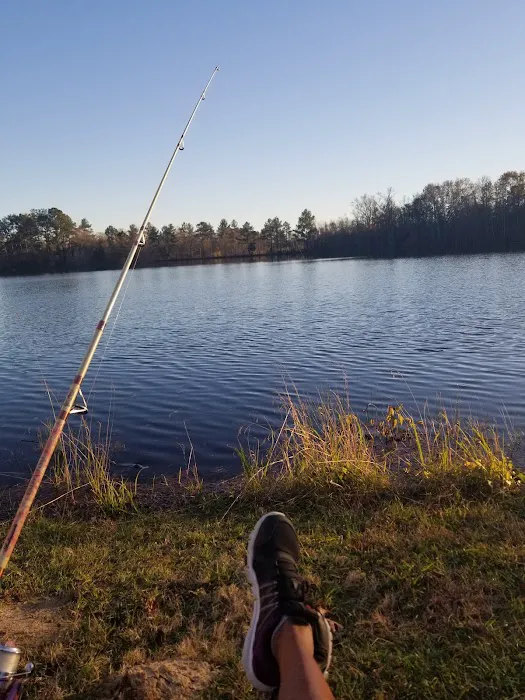 Piney Point Living 1