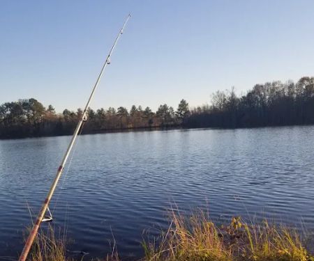 Piney Point Living