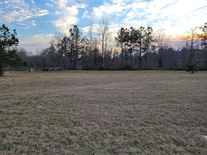 Piney Point Living 2