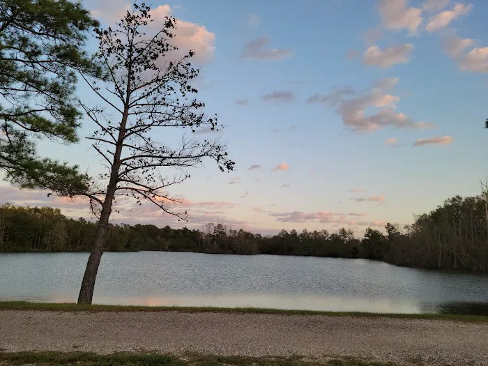 Piney Point Living 9