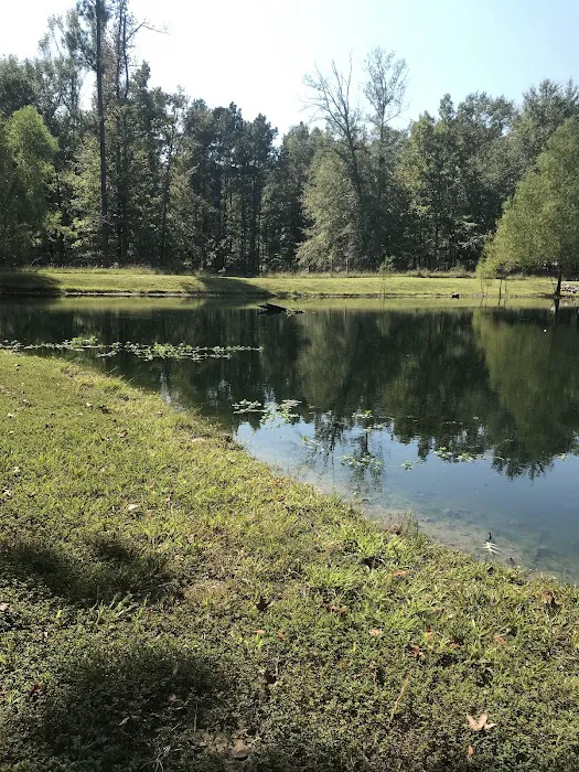Blue Pond RV Park 7