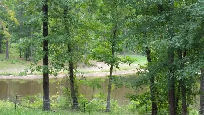 Blue Pond RV Park 10