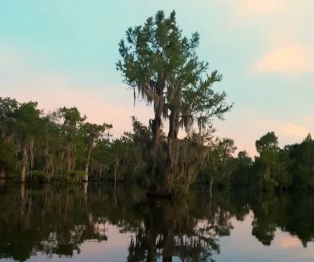 Bistineau Lake RV Resort Cabins & Camping