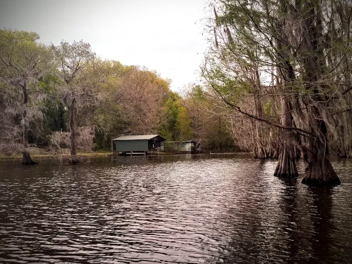 Bistineau Lake RV Resort Cabins & Camping 2