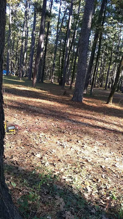 Bucktail Camp, Kisatche National Forest 1