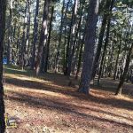 Bucktail Camp, Kisatche National Forest