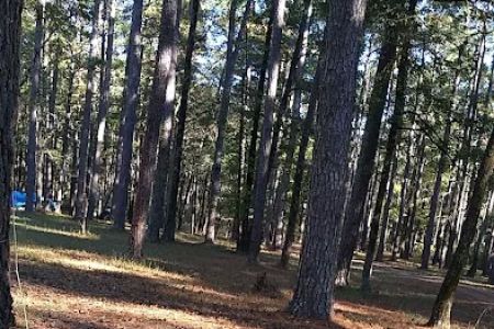 Bucktail Camp, Kisatche National Forest