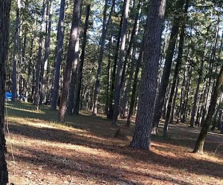 Bucktail Camp, Kisatche National Forest